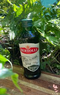 Bertolli